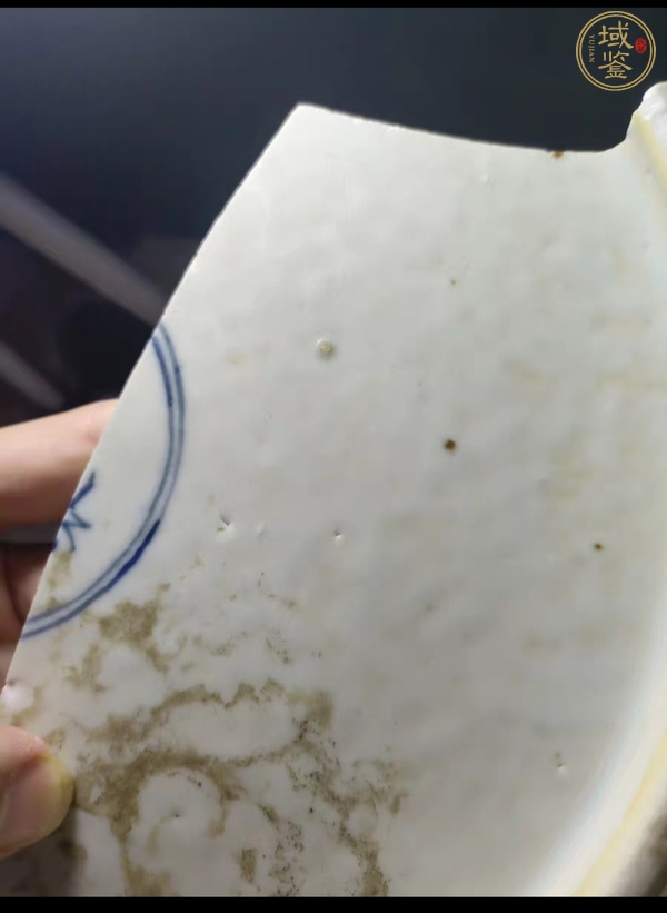 古玩陶瓷龍紋青花標本真品鑒賞圖