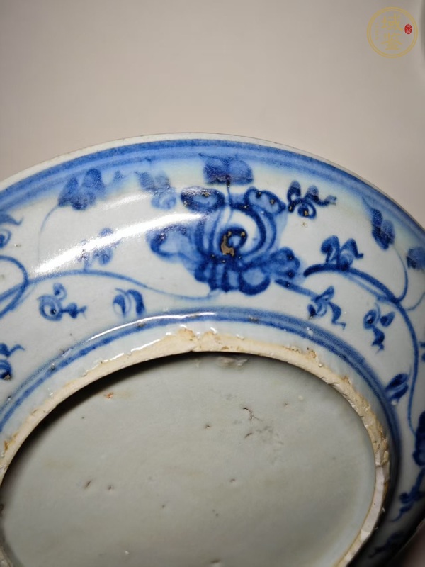 古玩陶瓷青花鳳穿牡丹盤真品鑒賞圖