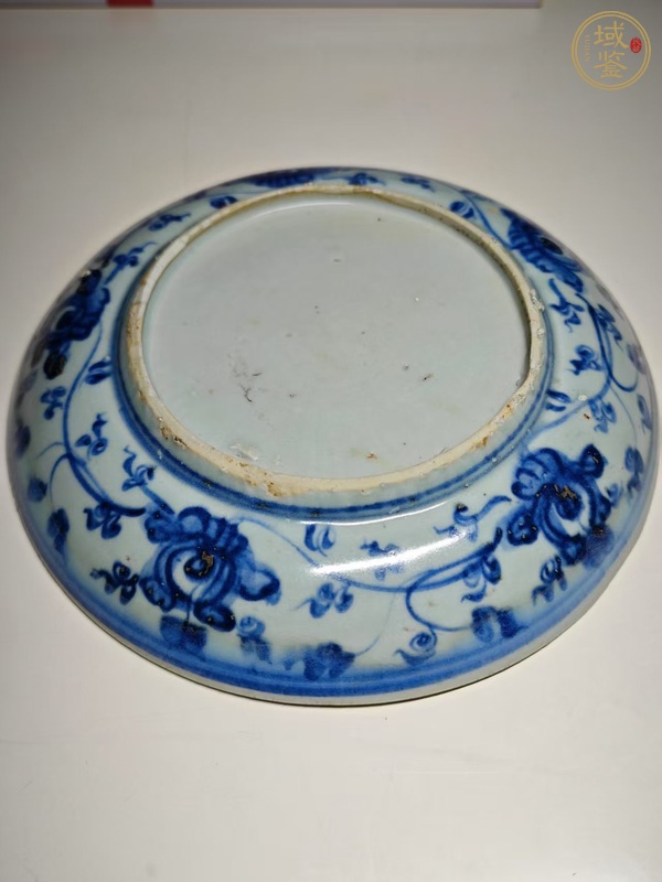 古玩陶瓷青花鳳穿牡丹盤真品鑒賞圖