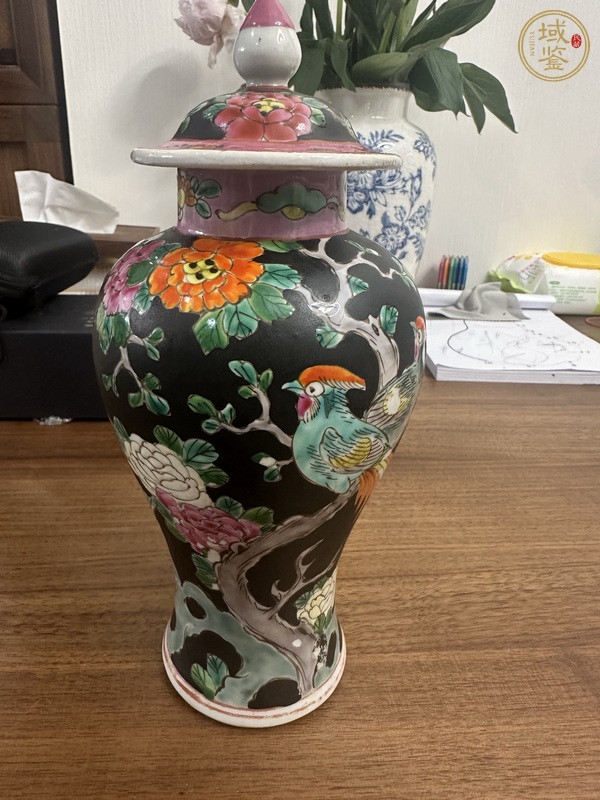 古玩粉彩花鳥蓋瓶真品鑒賞圖