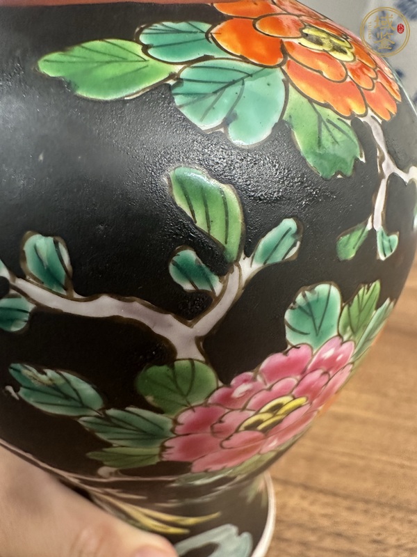 古玩陶瓷粉彩花鳥蓋瓶真品鑒賞圖
