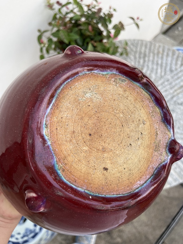古玩陶瓷紅釉三足爐真品鑒賞圖
