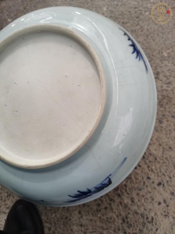 古玩陶瓷松鹿紋真品鑒賞圖
