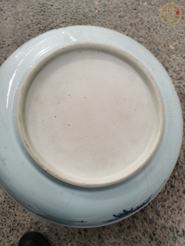 古玩陶瓷松鹿紋真品鑒賞圖