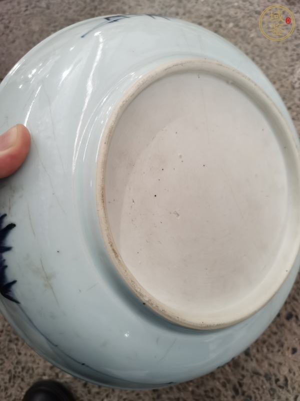 古玩陶瓷松鹿紋真品鑒賞圖