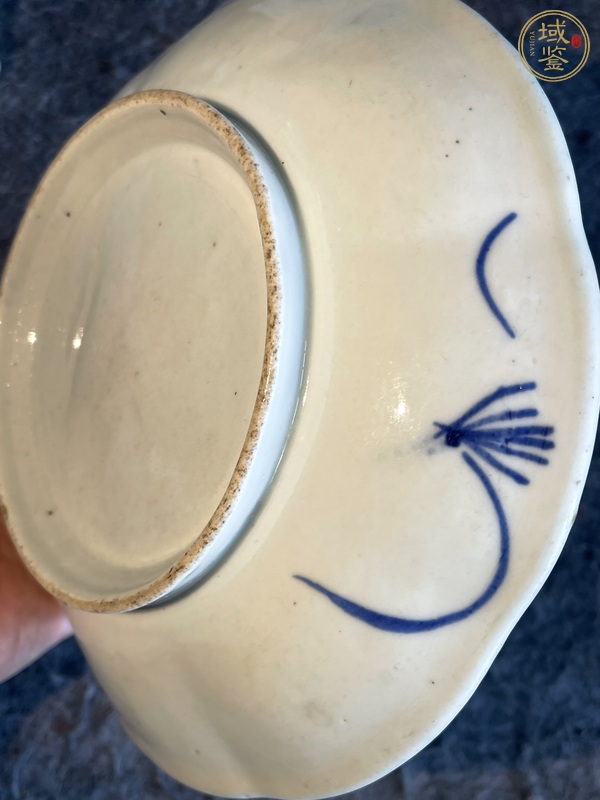 古玩陶瓷青花菊花盤真品鑒賞圖