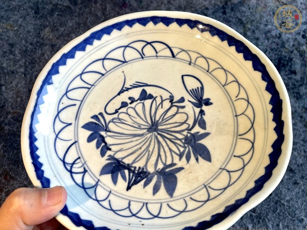 古玩陶瓷青花菊花盤真品鑒賞圖