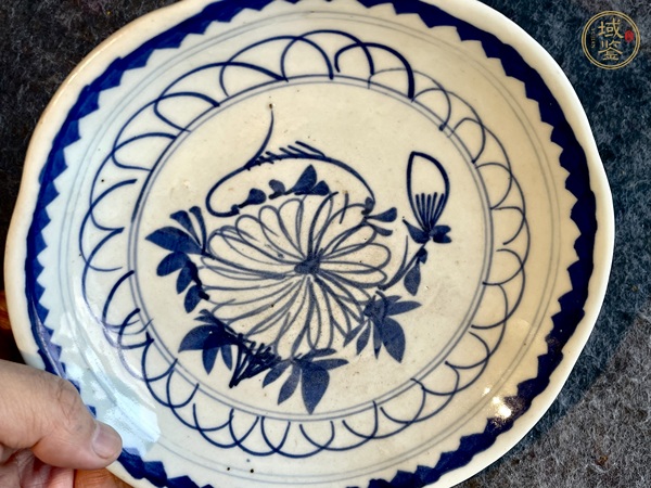 古玩陶瓷青花菊花盤真品鑒賞圖