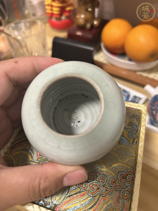 古玩陶瓷豆青釉刻夔龍紋水盂真品鑒賞圖