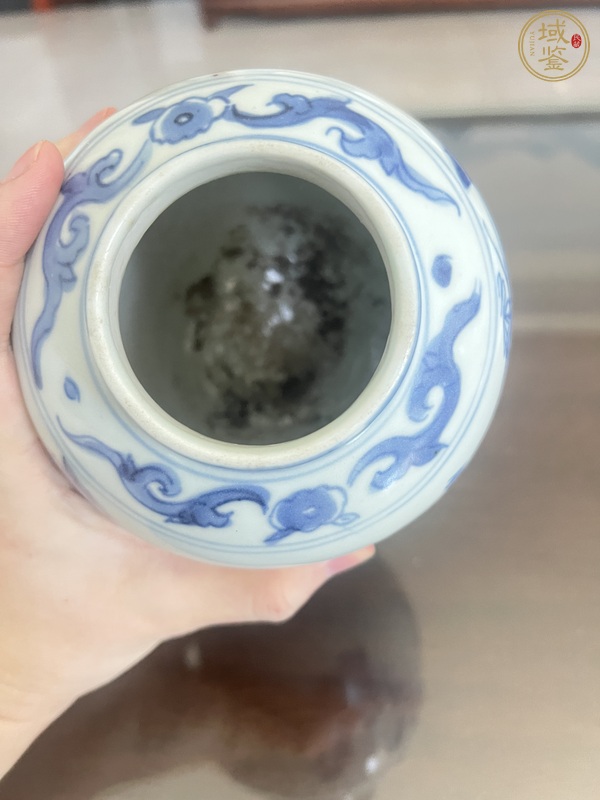 古玩陶瓷罐真品鑒賞圖