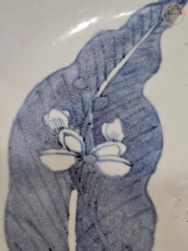 古玩陶瓷蕉葉詩文盤真品鑒賞圖