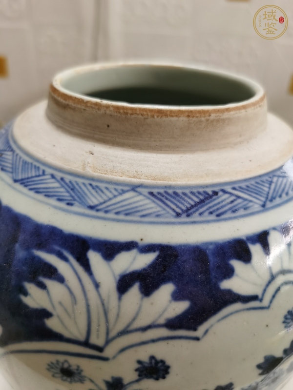 古玩陶瓷花卉紋青花罐真品鑒賞圖