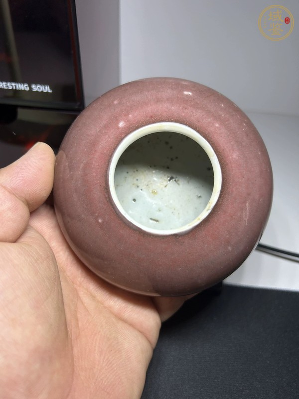 古玩陶瓷紅釉水盂真品鑒賞圖
