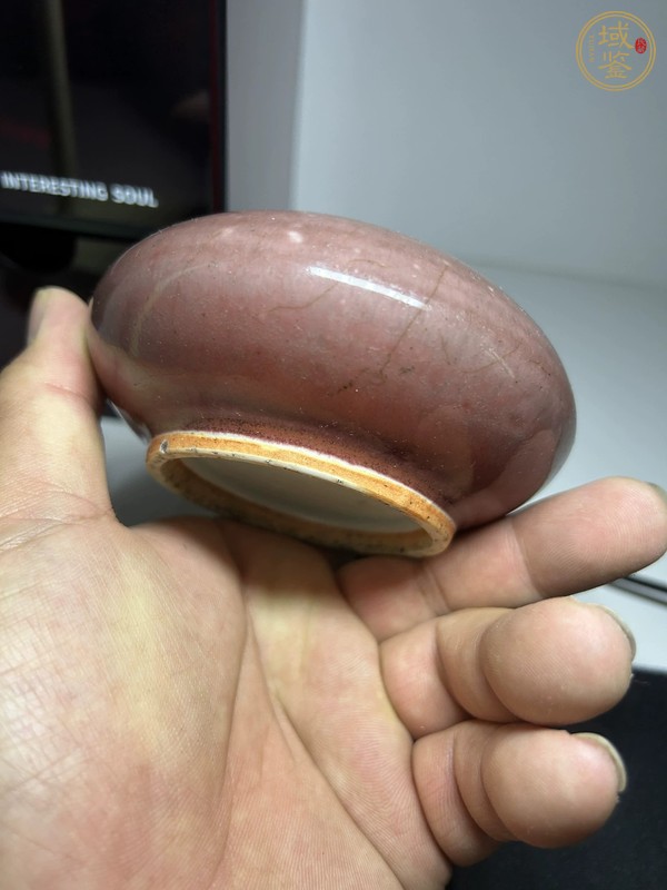古玩陶瓷紅釉水盂真品鑒賞圖