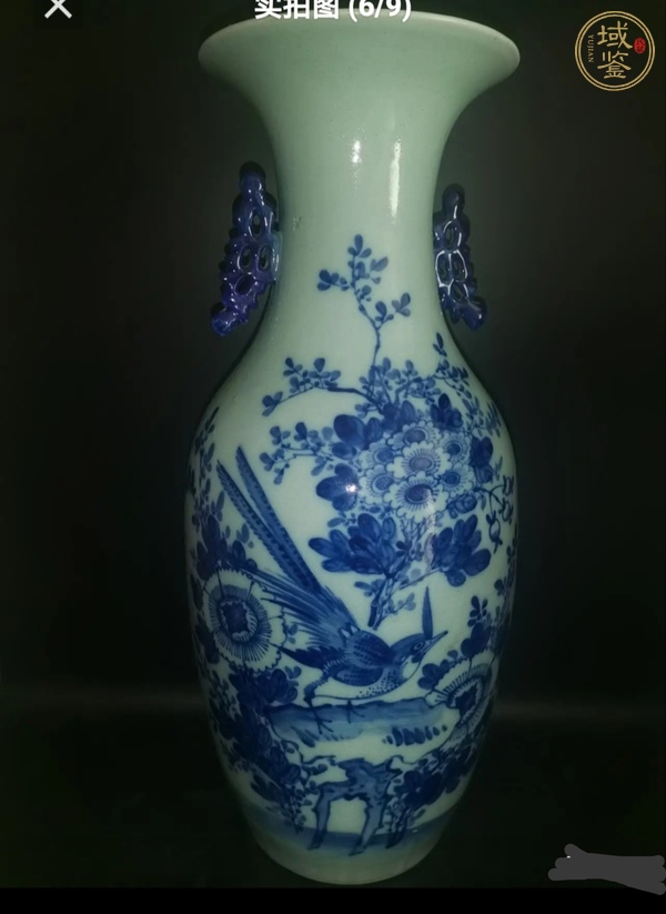 古玩花鳥紋青花瓶真品鑒賞圖