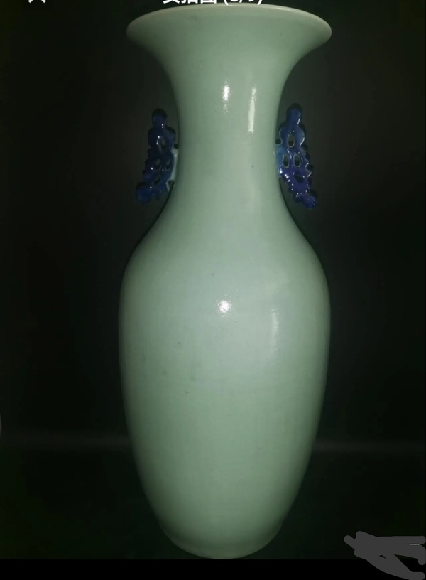 古玩陶瓷精美清代晚期花鳥(niǎo)紋青花大瓶拍賣，當(dāng)前價(jià)格2000元