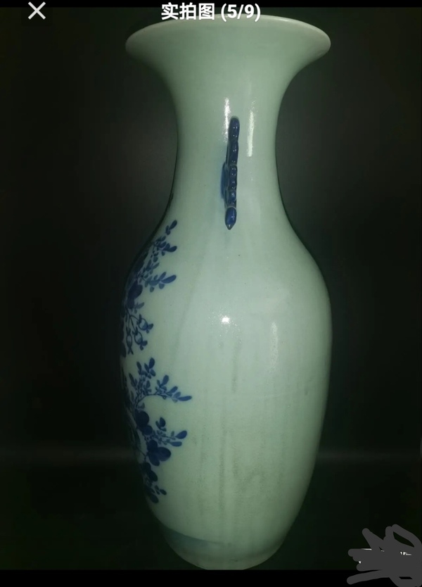 古玩陶瓷精美清代晚期花鳥(niǎo)紋青花大瓶拍賣，當(dāng)前價(jià)格2000元