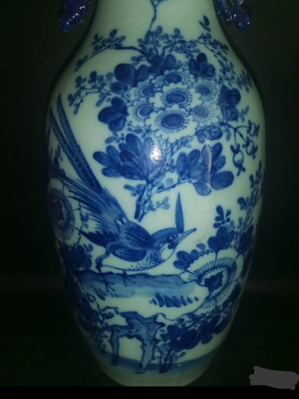 古玩陶瓷精美清代晚期花鳥(niǎo)紋青花大瓶拍賣，當(dāng)前價(jià)格2000元