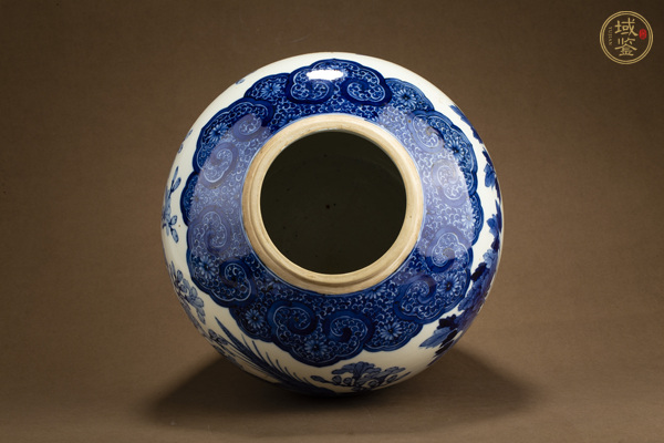 古玩陶瓷清晚·青花錦雞牡丹紋罐真品鑒賞圖