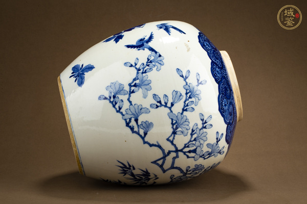 古玩陶瓷清晚·青花錦雞牡丹紋罐真品鑒賞圖