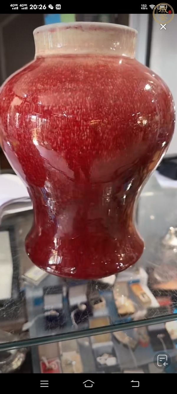 古玩陶瓷紅釉將軍罐真品鑒賞圖
