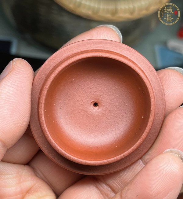 古玩雜項紫砂壺真品鑒賞圖