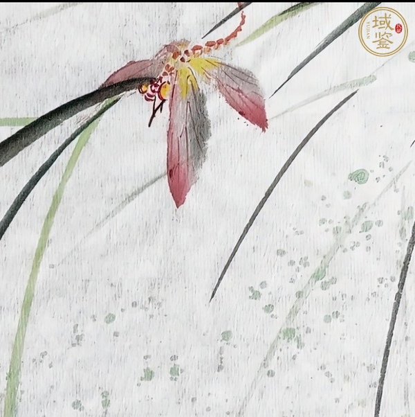 古玩字畫草蟲真品鑒賞圖
