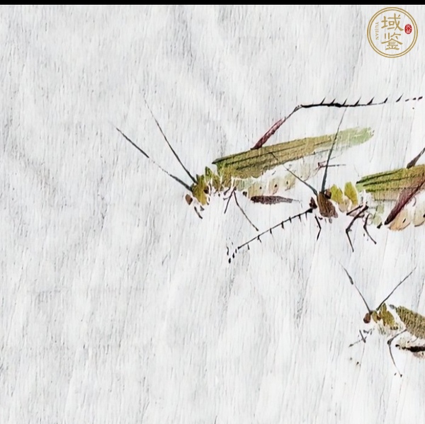 古玩字畫草蟲真品鑒賞圖