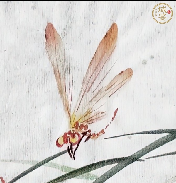古玩草蟲真品鑒賞圖