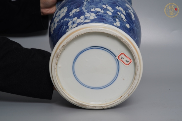 古玩青花留白冰梅紋鳳尾尊真品鑒賞圖