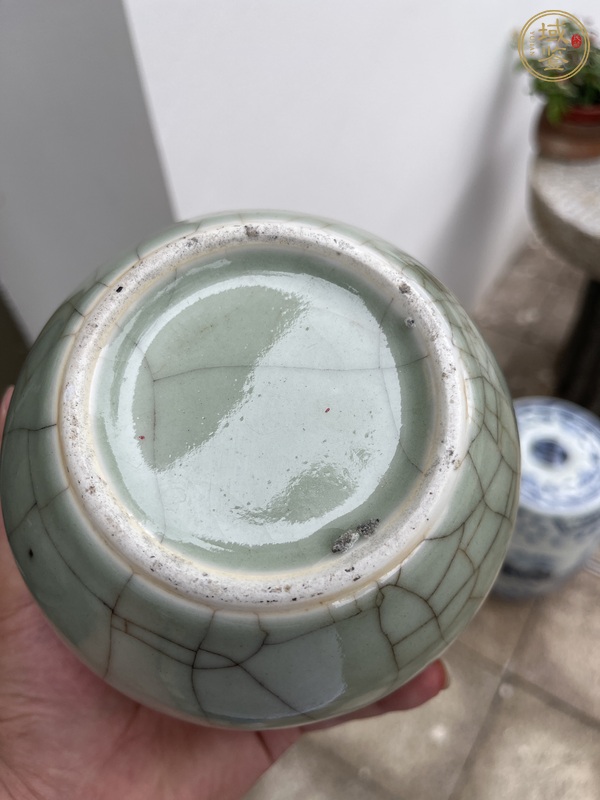 古玩陶瓷仿官釉茶葉罐真品鑒賞圖