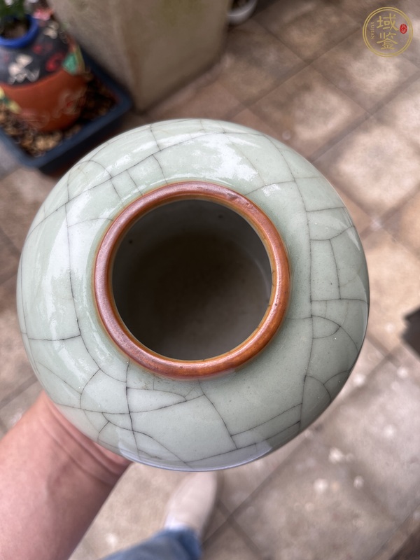 古玩陶瓷仿官釉茶葉罐真品鑒賞圖