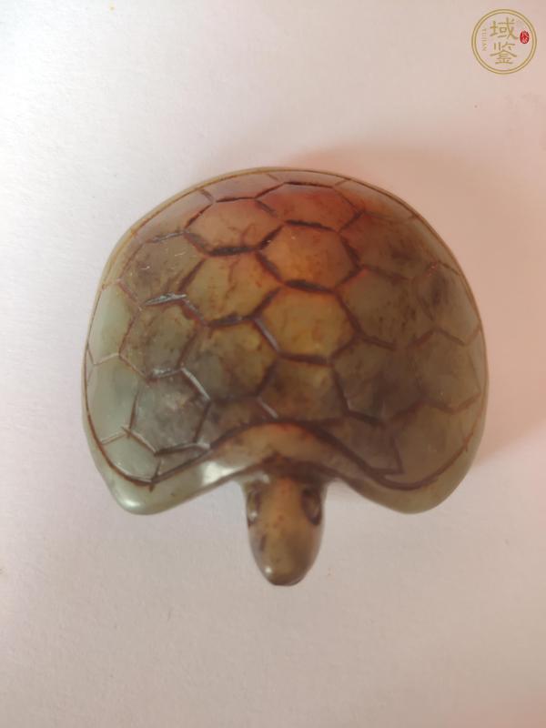 古玩玉器和田玉龜把件真品鑒賞圖