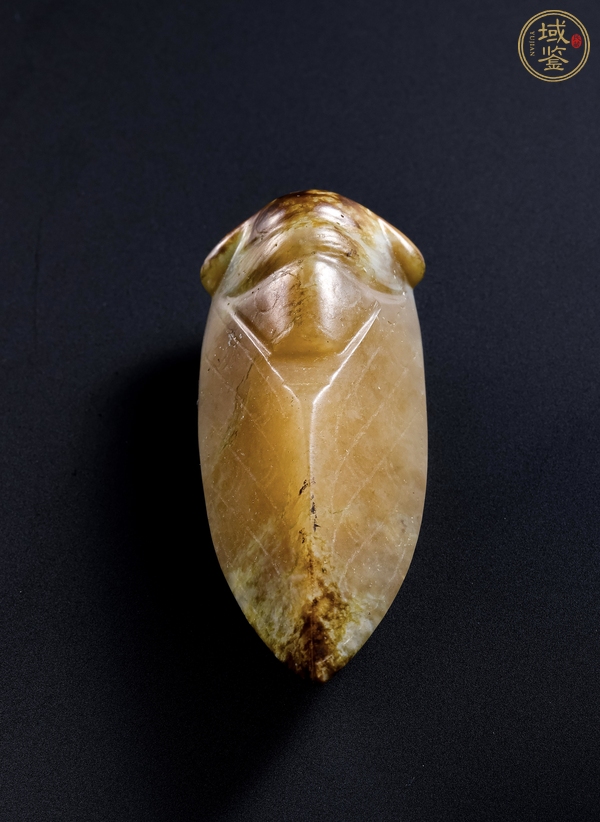 古玩仿古做舊玉蟬真品鑒賞圖