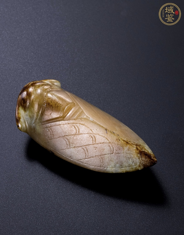 古玩玉器仿古做舊玉蟬真品鑒賞圖