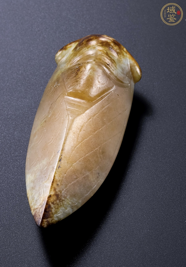 古玩玉器仿古做舊玉蟬真品鑒賞圖