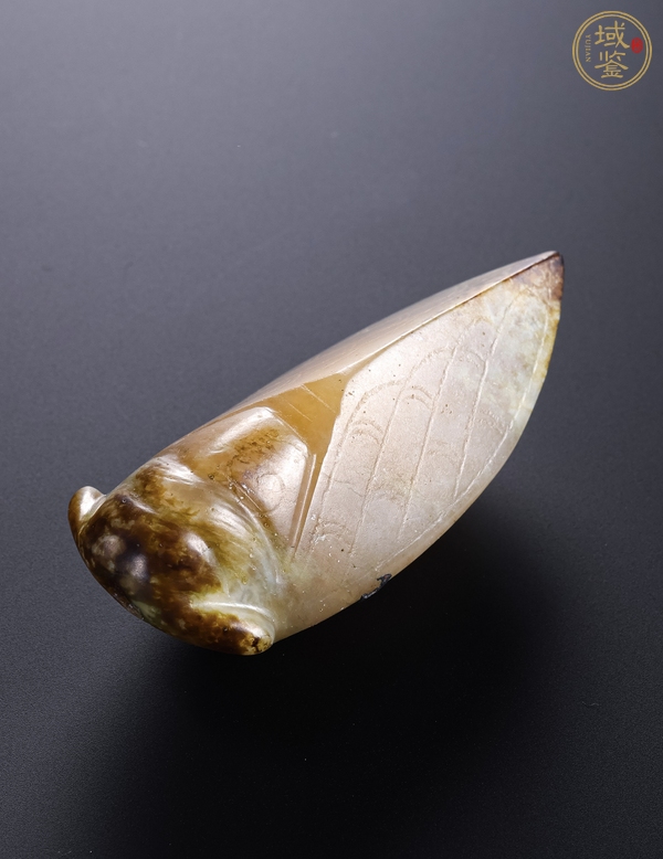 古玩玉器仿古做舊玉蟬真品鑒賞圖