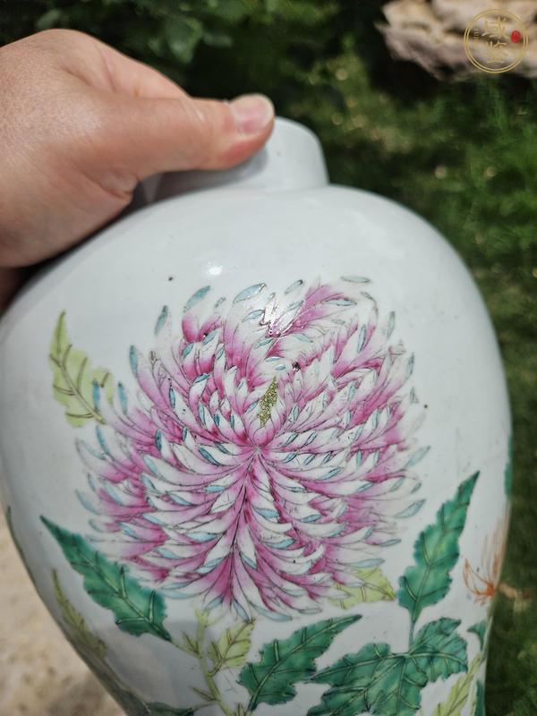古玩陶瓷花卉紋粉彩瓶真品鑒賞圖
