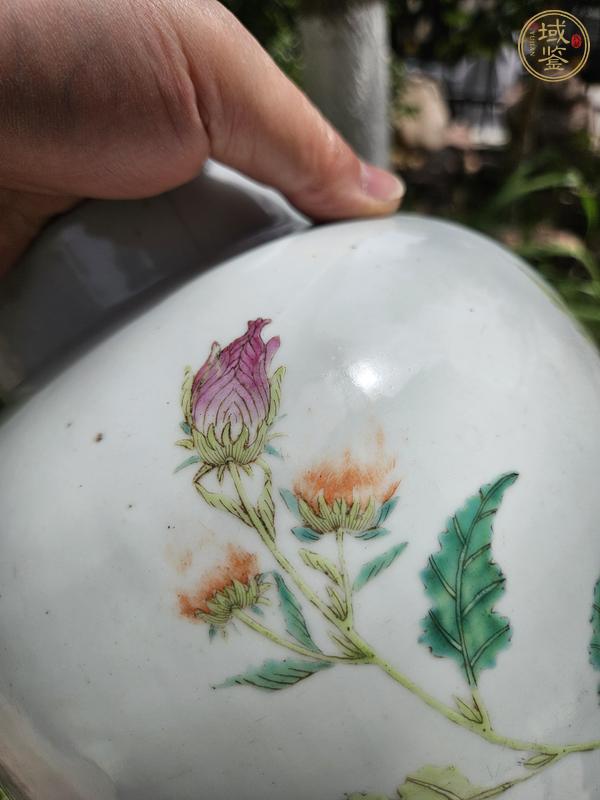 古玩陶瓷花卉紋粉彩瓶真品鑒賞圖