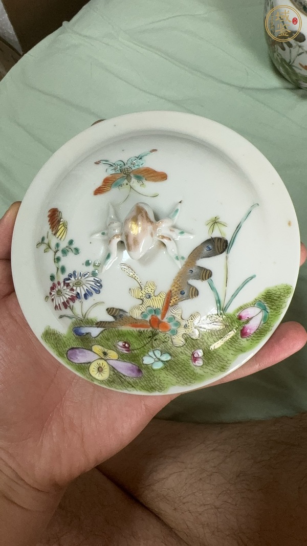 古玩陶瓷花蝶紋粉彩四系粥罐真品鑒賞圖