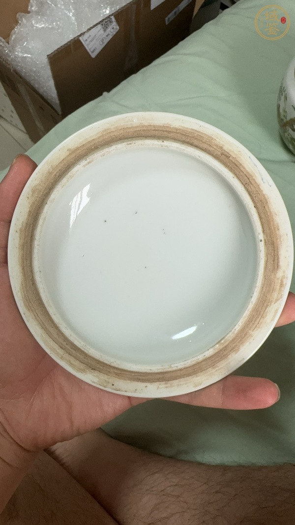 古玩陶瓷花蝶紋粉彩四系粥罐真品鑒賞圖