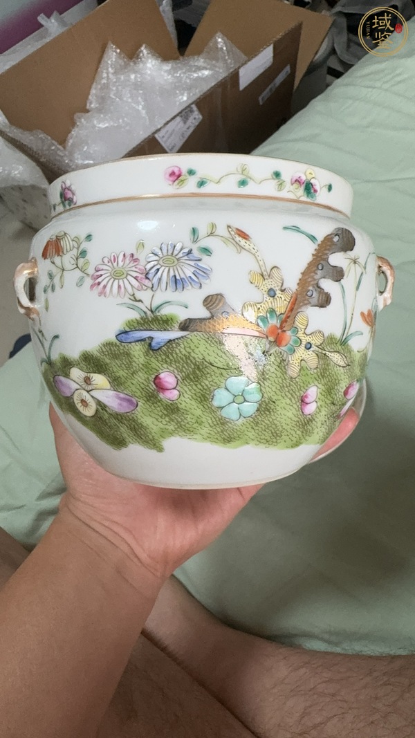 古玩陶瓷花蝶紋粉彩四系粥罐真品鑒賞圖