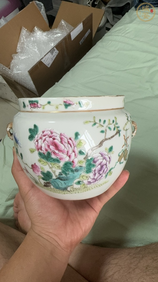 古玩陶瓷花蝶紋粉彩四系粥罐真品鑒賞圖