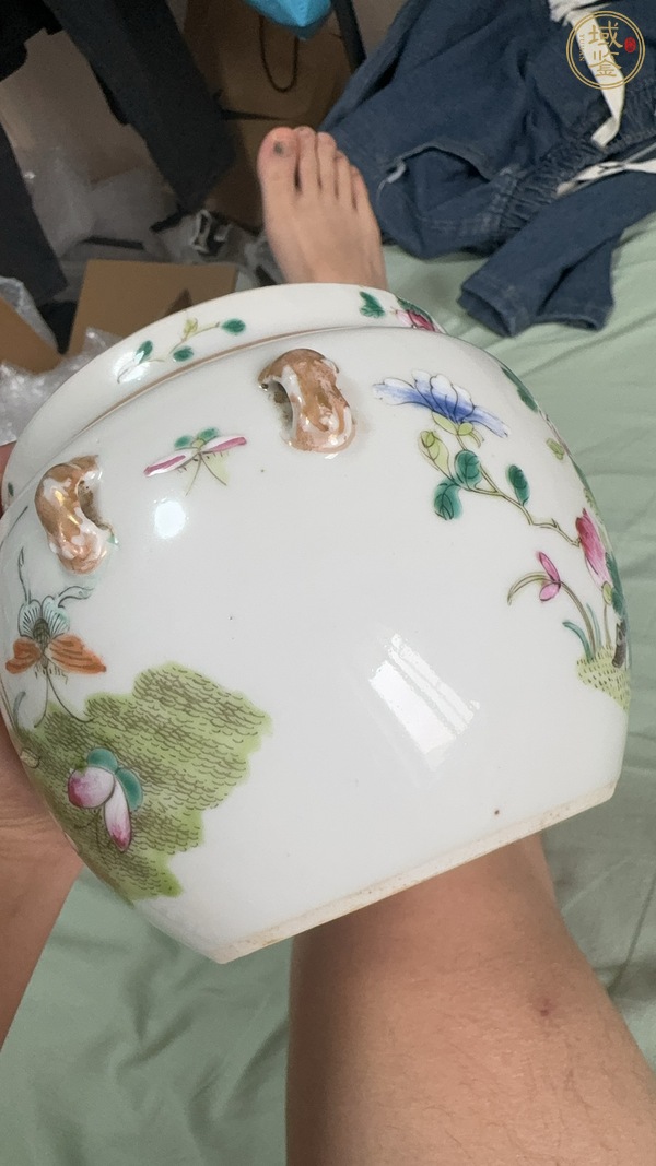 古玩陶瓷花蝶紋粉彩四系粥罐真品鑒賞圖
