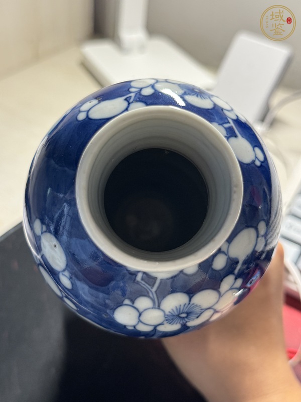 古玩陶瓷青花留白冰梅紋雞腿蓋瓶真品鑒賞圖