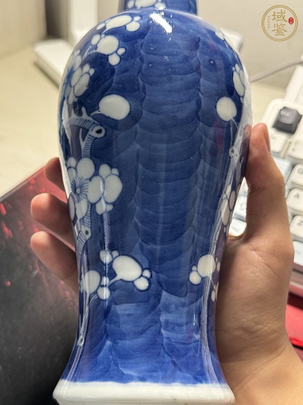 古玩陶瓷青花留白冰梅紋雞腿蓋瓶真品鑒賞圖