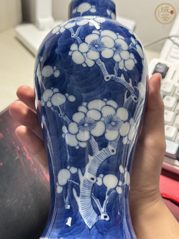 古玩陶瓷青花留白冰梅紋雞腿蓋瓶真品鑒賞圖