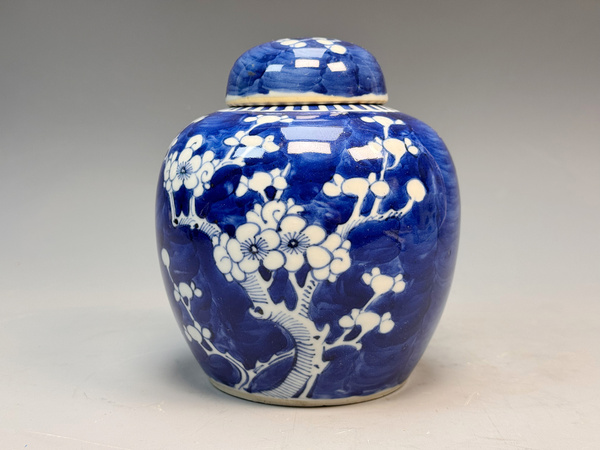 古玩嚴(yán)選清晚期·青花留白折枝冰梅紋蓋罐拍賣，當(dāng)前價(jià)格4032元
