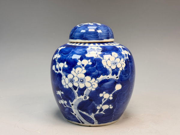 古玩陶瓷清晚期·青花留白折枝冰梅紋蓋罐拍賣，當(dāng)前價(jià)格0元