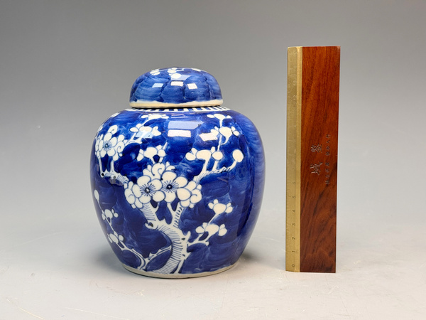 古玩陶瓷清晚期·青花留白折枝冰梅紋蓋罐拍賣，當(dāng)前價(jià)格0元